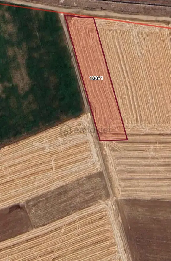 Bünyan Burhaniye'de 4700m2 Sulu Tarla Ekim Yapmaya Uyğun 1