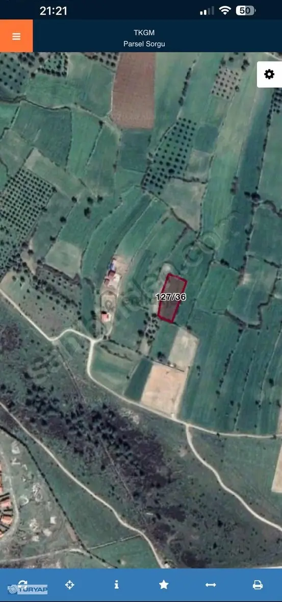Muğla Milas Karapınar 1