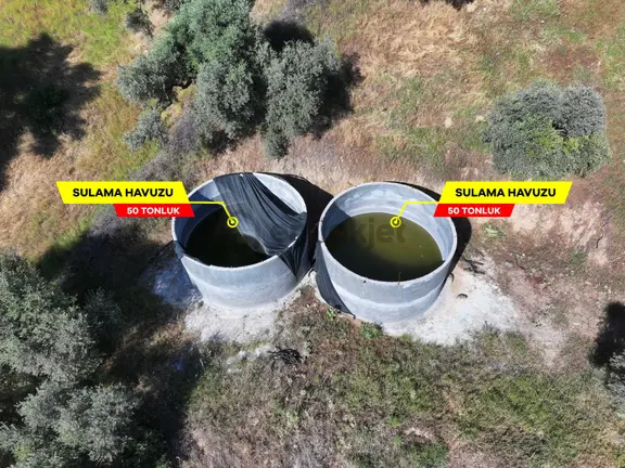Kestel'de 18.200m² Zeytin & İncir Bahçesi 2