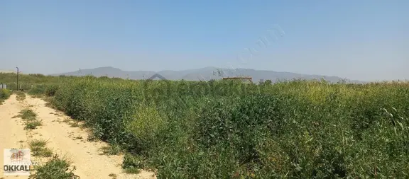 Okkalı Emlka Tan Menemen Kesik Te Satılık Tarla 1