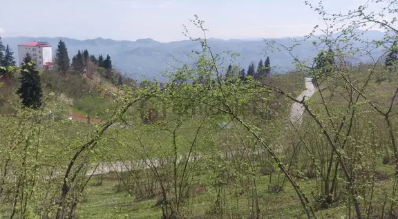Kamışlı'da Önü Açık Doğa Manzaralı Arazi 1