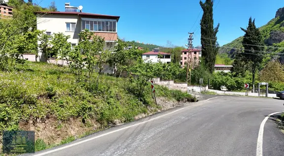 Vyg'den Ortahisar Kutlugün Mahallesinde 2456 M2 Arsa 2