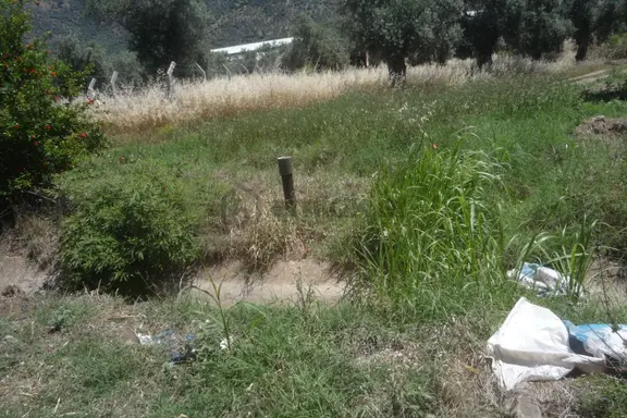 İzmir Torbalı Gold Emlaktan Satılık Tarla Ve Zeytinlik 2