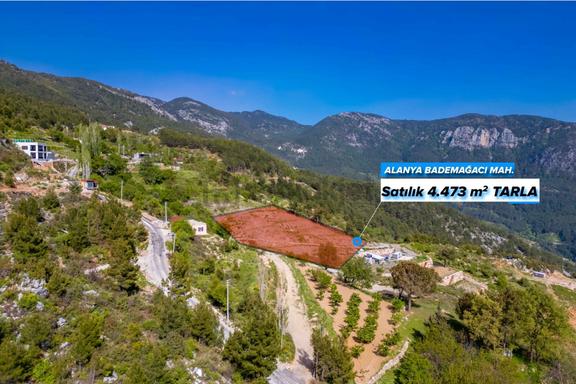Alanya Bademağacı’nda 4.473 M² Satılık Deniz Manzaralı Tarla 2