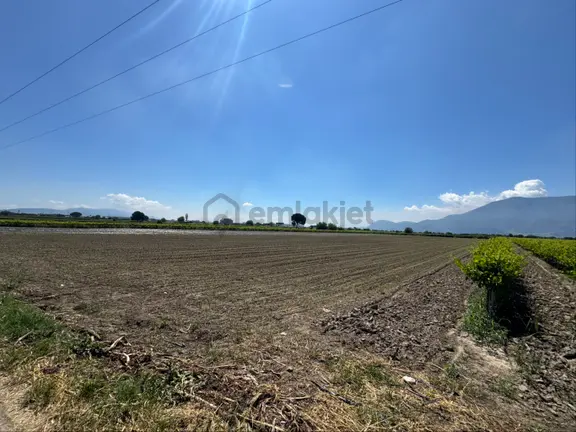 Manisa Şehzadeler Merkez Yeniköy Satılık 11.200 M2 Arazimiz 2