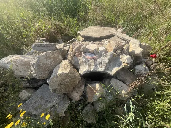 Torbalı Dirmil Mah 2438m2 Satılık Zeytinli Tarla 2