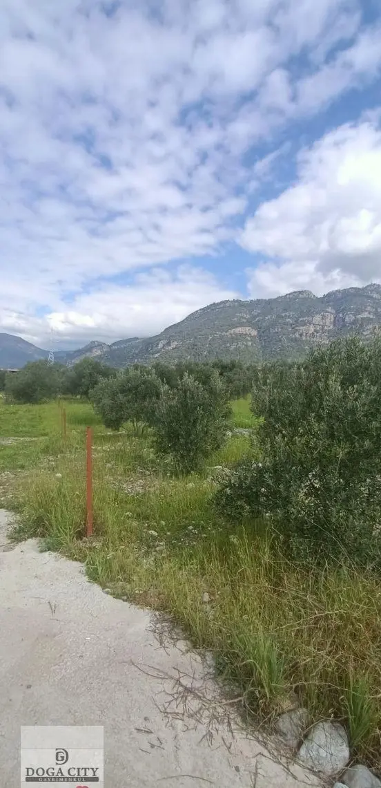 Muğla/köyceğiz/zeytinalanı Satılık Göl Manzaralı Arazi 2