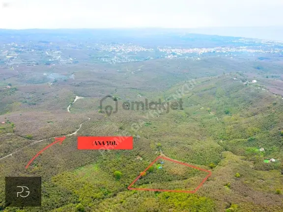 Prıme'dan Sakarya Kocaali Selahiye'de Verimli Fındık Bahçesi!!! 2