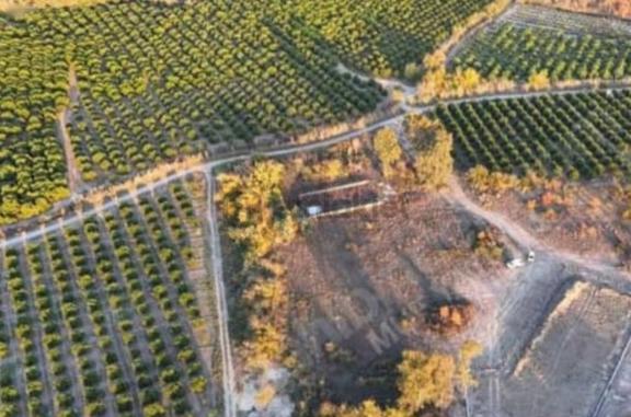 Köyceğiz Toparlar'da Satılık 430 M² Müstakil Parsel Arsa 2