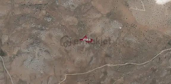 Antalya Korkuteli Taşkesiği Köyü Kazanpınarı Mevki Satılık Tarla No-20635 2