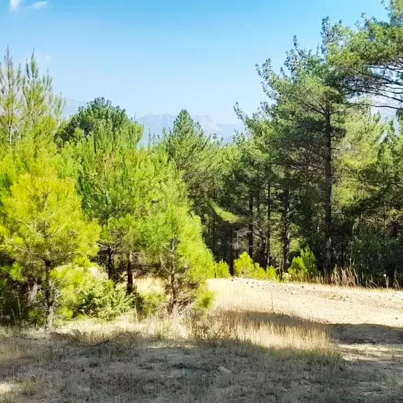 Kar Emlaktan Yenikonacık Körmenlik Mevkiinde 445 M2 Satılık Arsa 2