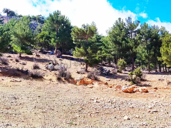 Kar Emlaktan Yenikonacık Bozkırlı Mevkiinde 430 M2 Satılık Arsa 2