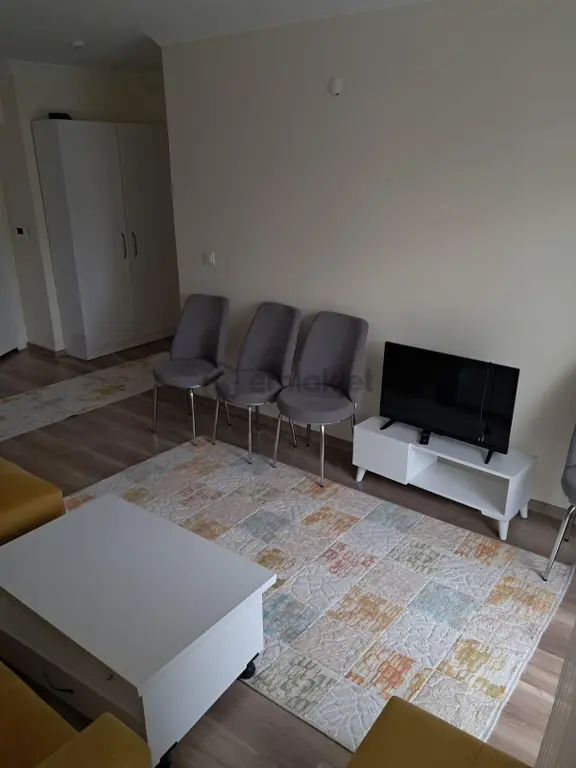 Eşyalı 1+1 Kiralık Daire 2