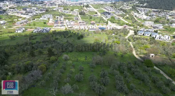 Karacabey Hürriyet Köy Dağ Korusu Mevkii Satılık Arazi 2