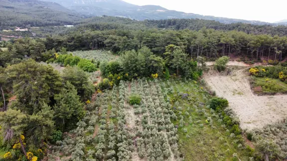 Stop’tan Seydikemer Yaka'da Doğa İle İç İçe, Yatırımlık Tarla! 1