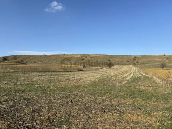 Mustafa Yılmaz'dan Söğüt Oluklu'da 4.390m² Arazi 1