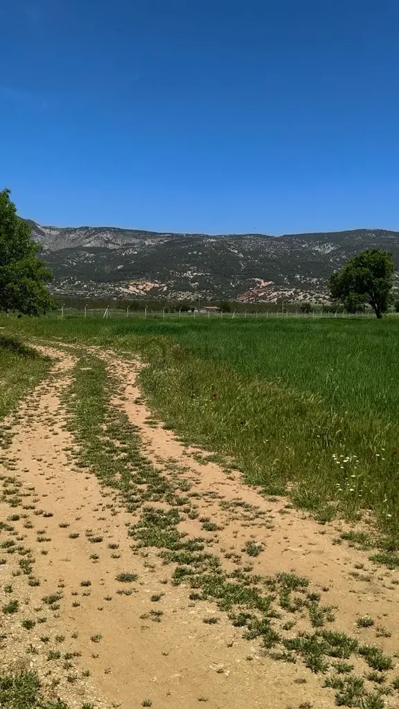Frezya Gayrimenkulden Serinhisarda Satılık Tarla 2