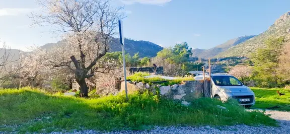 Marmaris Söğüt'te Deniz Manzaralı 7 Dönüm Satılık Araz, 1