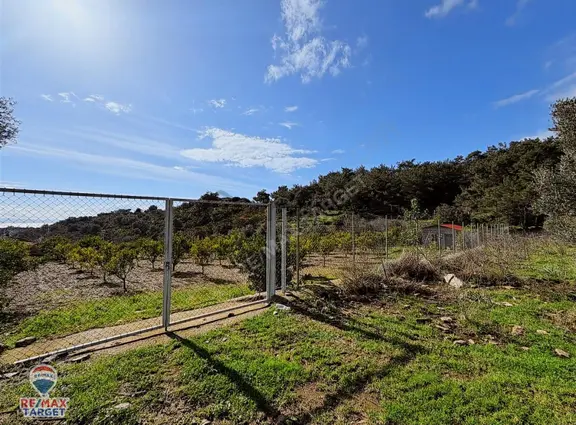 Özderenın Değerlenen Bölgesınde 1670 M² Yatırım Fırsatı 2