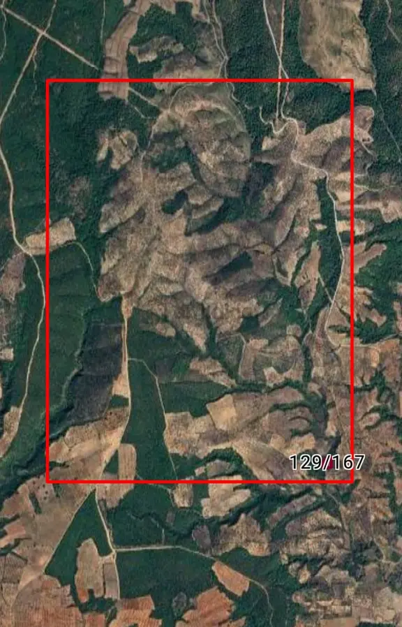 & Kerim'den Satılık Bayramiç'de Yatırımlık Zeytinlik 1