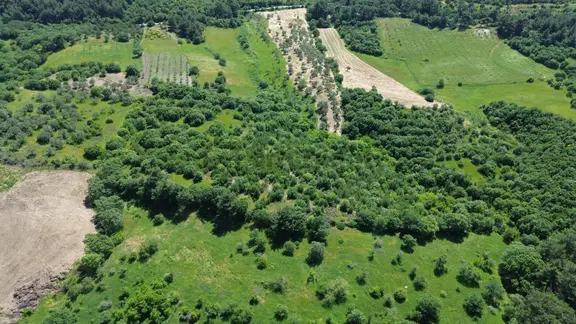 Bergama Dereköyde Satılık 15.111m2 Verimli Tarla !!! 2