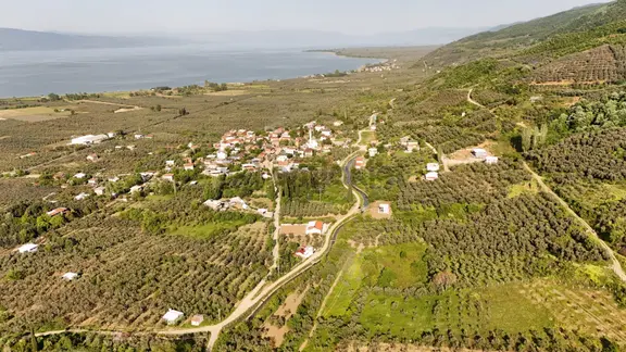 Akharem İznik Gölü Satılık Araç Yolu Olan 4142m2 Tarla Profasor 1