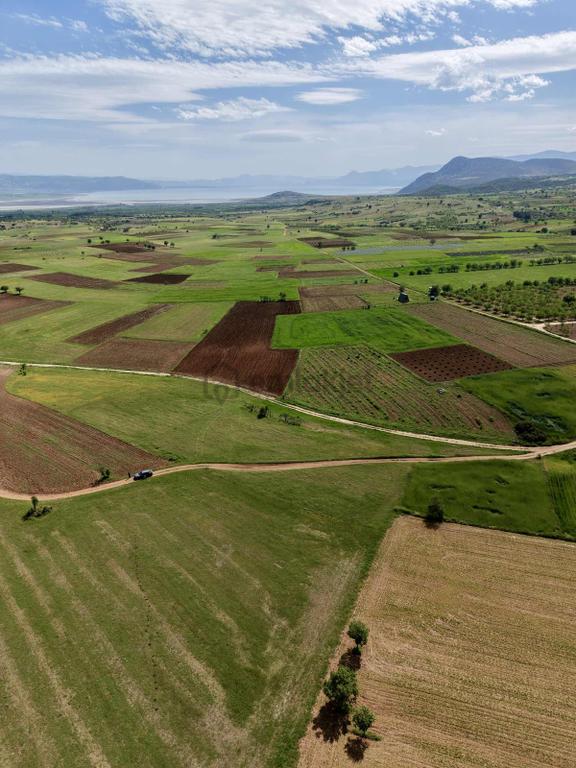 Senir'de Lavanta Bahçelerinin İçinde 3200m2 Tek Tapu Fırsat 2