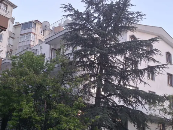 Ankara Çankaya Topraklık Çamlıtepe Mahallesinde Ankara Manzaralı 4+1 Depolu Teraslı Dubleks Daire 2