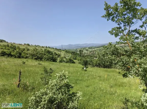Balıkesirin Dibinde Kavaklı Da Satılık 1/5 Hisseli 1721 M2. Tarl 2