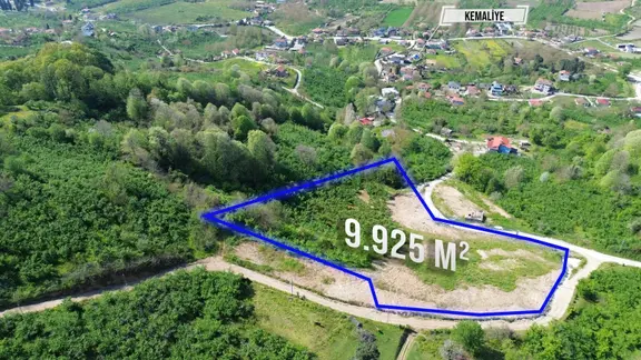 Arifiye Kemaliye Mah. Emsalsiz 9.925 M2 Satılık Arazi 2