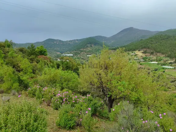 Mersin Anamur Melleç Satılık Tarla 1
