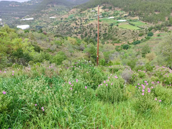 Mersin Anamur Melleç Satılık Tarla 2