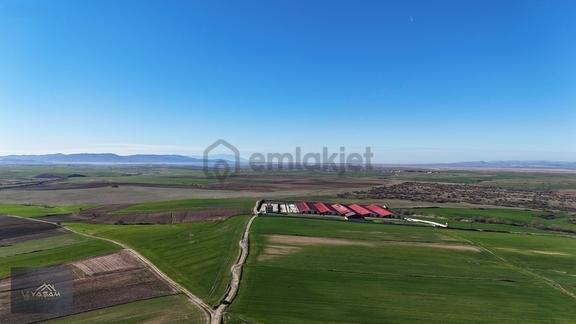 İpsala Osb Sınırında Gümrüğe 5 Dk 16.141 M² Fırsat Tarla 2