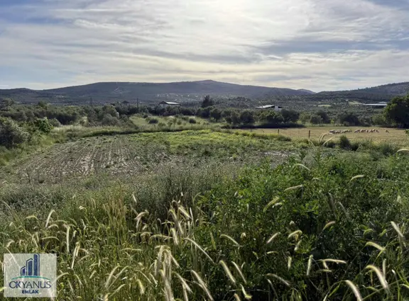 Okyanus Emlak'tan Satılık İmar İçerisinde Kalıyor 1380 M2 2