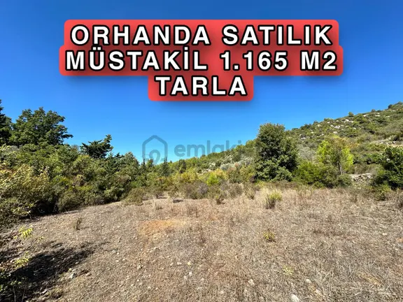 Alanya Orhanda Satılık 1.165 M2 Tarla 1