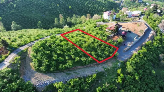 Trabzon'da Satılık Arsa 2
