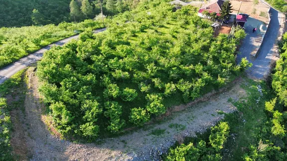 Trabzon'da Satılık Arsa 1