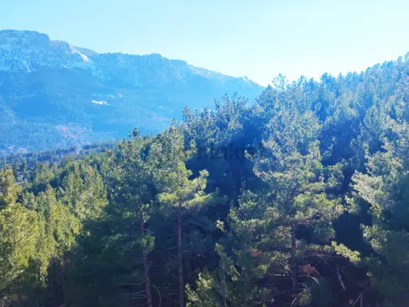 Kar Emlaktan Akçatekir Atatürkte 1419m2 Satılık Arsa 1