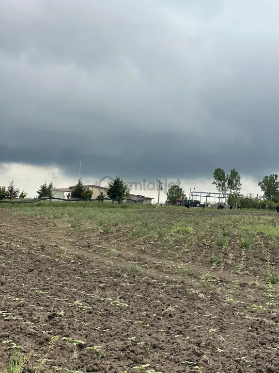 Delfa Yapı İnşaat Tan Kızılpınar Da 7.118m2 İmara Yakın 2