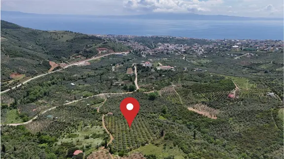 Termal Turizm Alanında İmara Yakın 26.192m2 Fırsat Zeytinlik 1