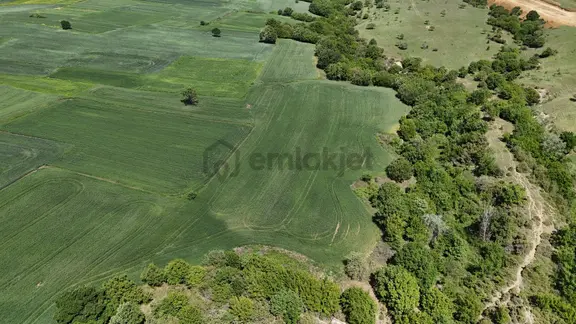 Ege Emlak'tan Paşayiğit Mahallesinde Fırsat Tarla 2