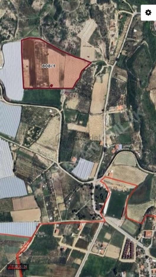Evrenseki De 15 Dönüm Tarım Arazisi 2