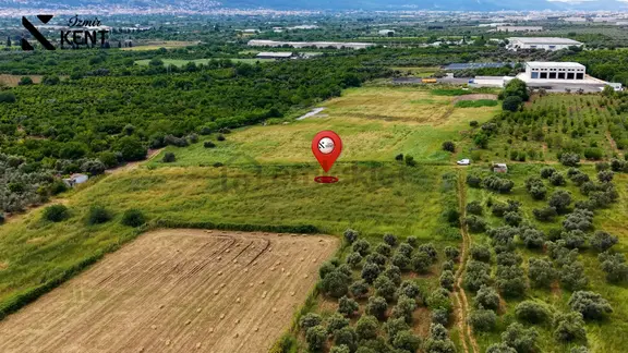 Kemalpaşa Mehmet Akif Ersoy Satılık 7.443m2 Bahçe 2