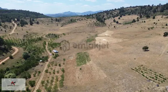 Hadim Göynükkışla Mahallesinde 725 M² Yatırımlık Tarla Fırsatı 1