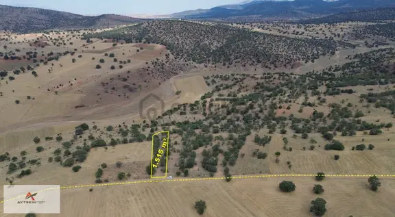 Güneysınır Kurukavak Mahallesinde 1.515 M² Müstakil Tapulu Bağ 2
