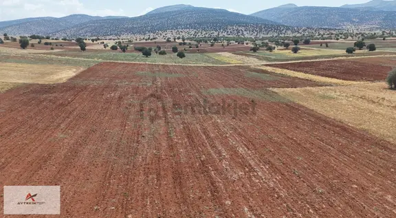 Akören / Ağalar Mahallesinde 6.721 M² Müstakil Tapulu Tarla 1