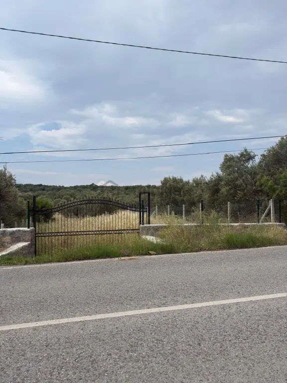 Saadet Korkmaz'dan Bademli'de İmara Komşu Satılık 1700 M2 2