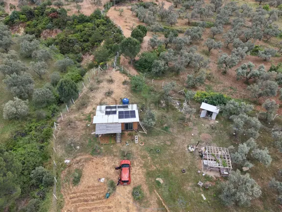 Mera Emlaktan Yaylaönü Köyü Resmi Yola Cephe 10.200m2 Zeytinlik 2