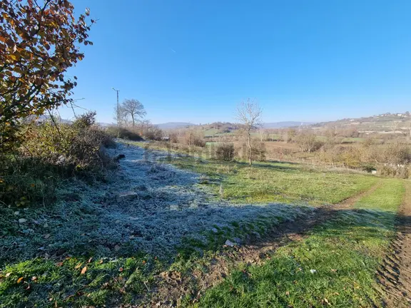 Akgün Kurumsal'dan Kavak'da Satılık Fırsat 5411 M2 Tarla 1