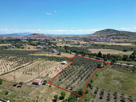 Bağarası'nda Asfalt Yola 100 Metre Cepheli İmara 500 Metre Mesafede Satılık Tarla 2
